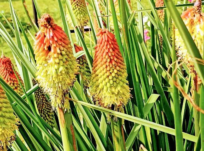 Country Al Gallo Hotel Oderzo