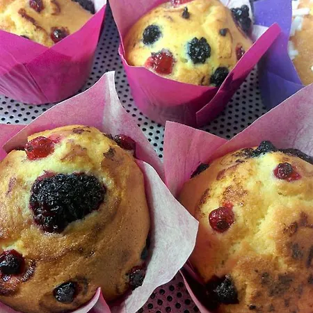 Country Al Gallo 3* Oderzo